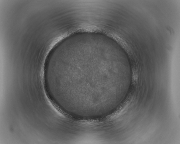 X0000111000630200906261459