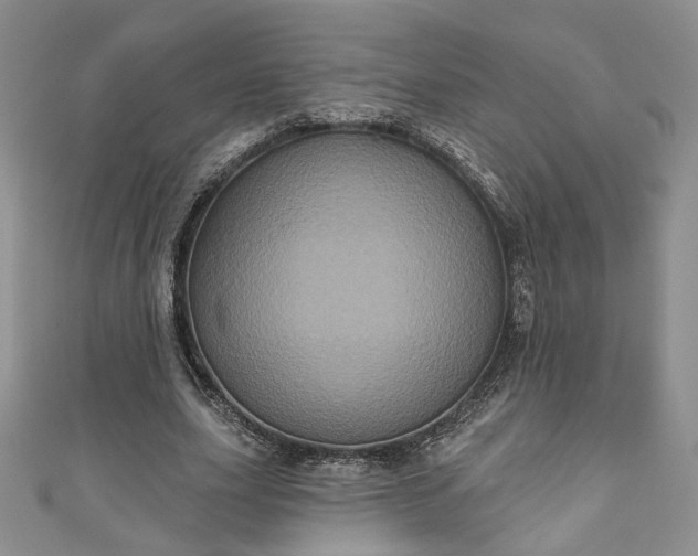 X0000111000631200906261459