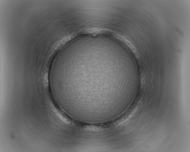 X0000111000633200906261459