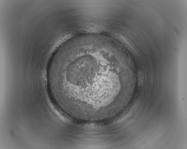 X0000111000634200906261459