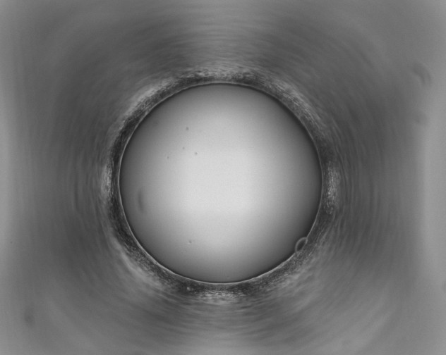 X0000111000636200906261459