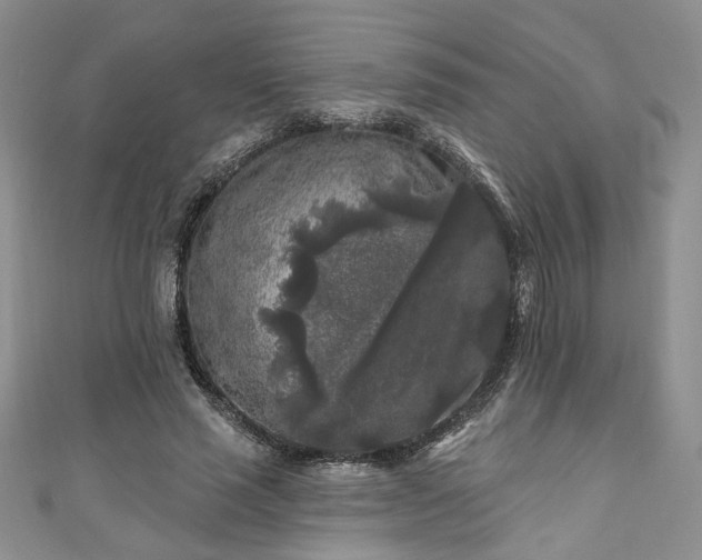 X0000111000637200906261459