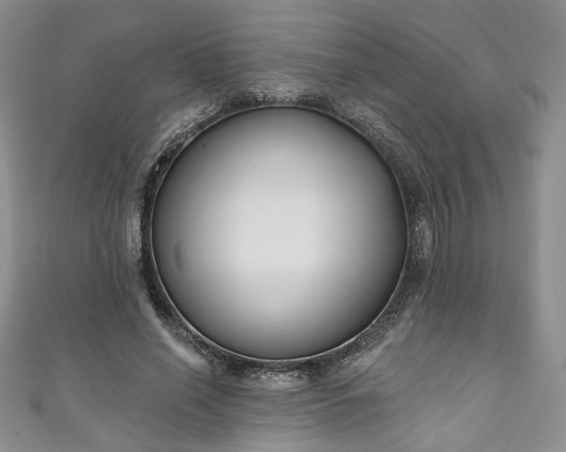 X0000111000638200906261459