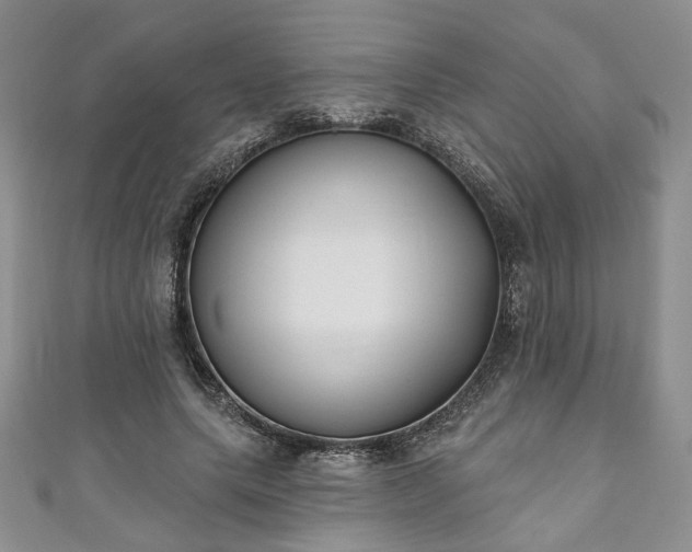 X0000111000639200906261459