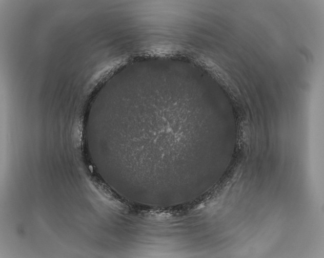 X0000111000640200906261459