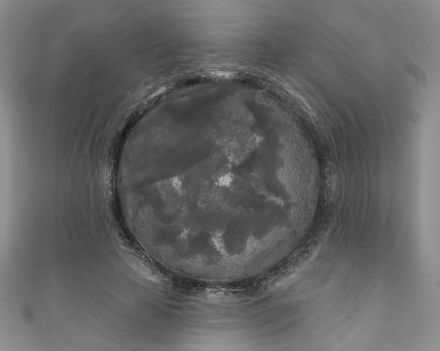 X0000111000641200906261459