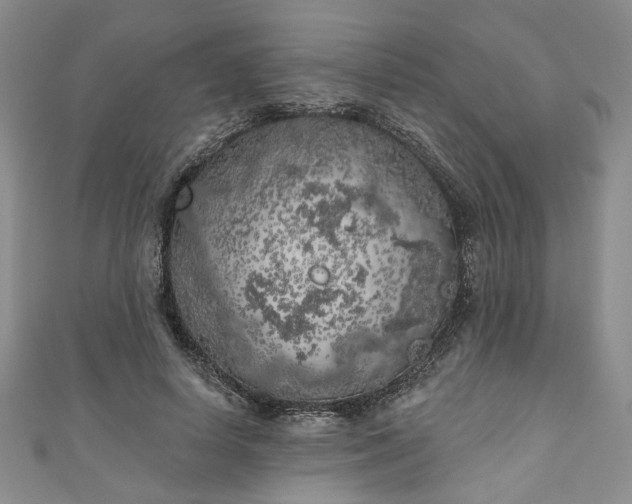 X0000111000642200906261459