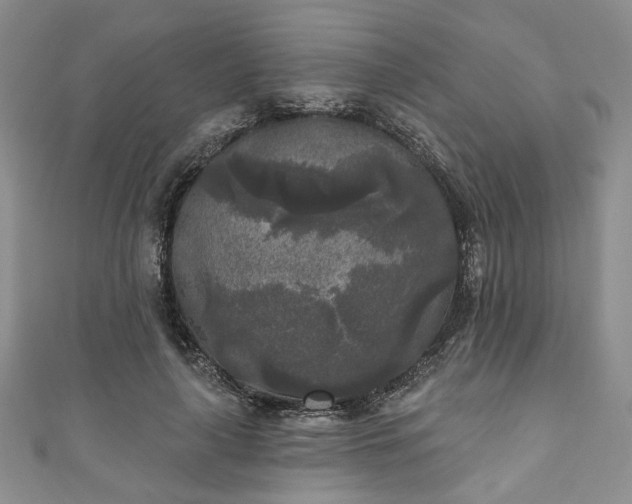 X0000111000643200906261500