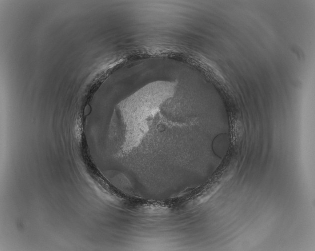 X0000111000644200906261500