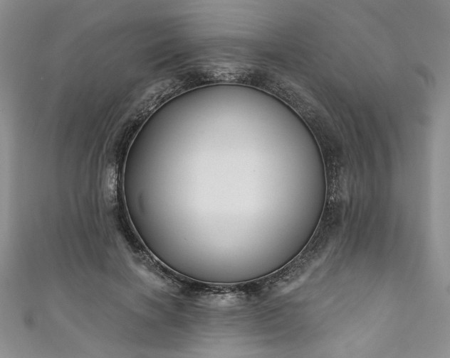 X0000111000646200906261500