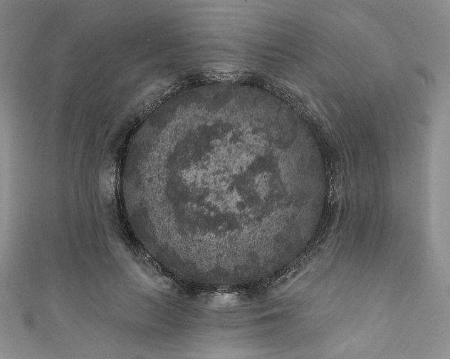 X0000111000647200906261500