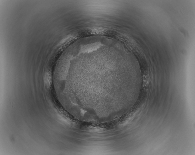 X0000111000648200906261500