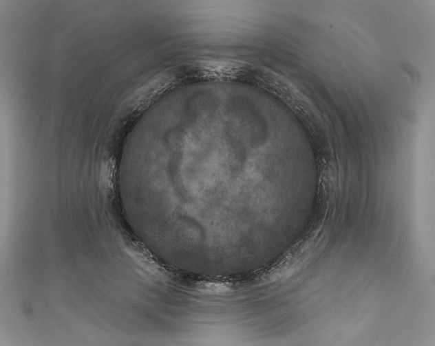 X0000111000649200906261500