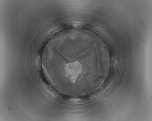 X0000111000650200906261500