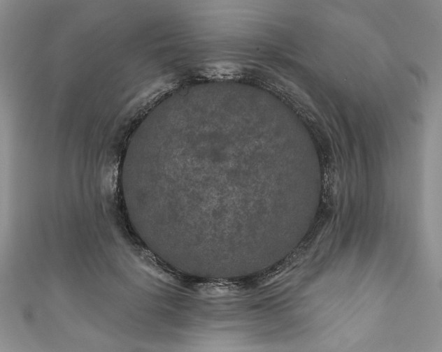 X0000111000652200906261500