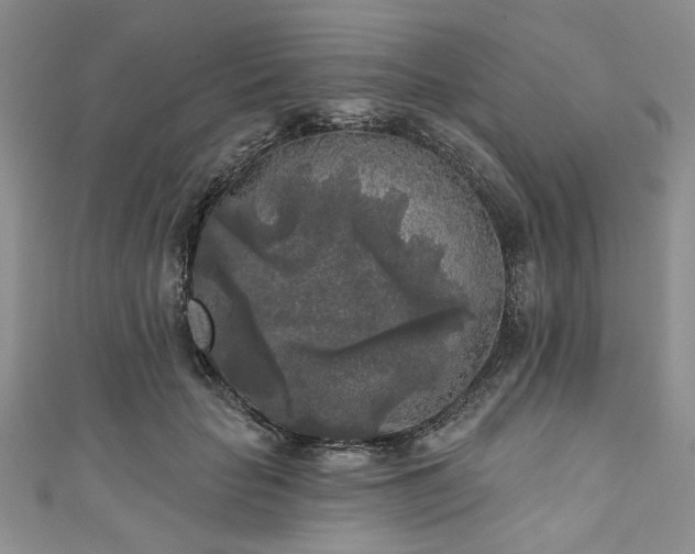 X0000111000653200906261500