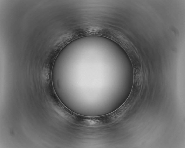 X0000111000654200906261500