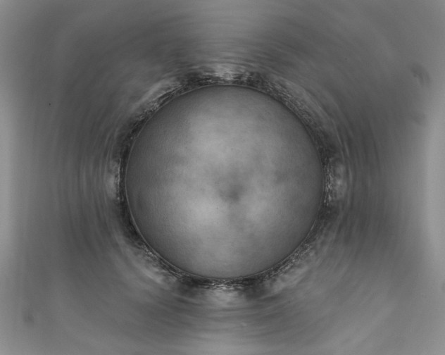 X0000111000656200906261500