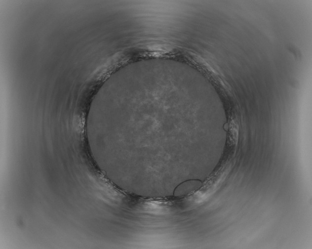 X0000111000657200906261500