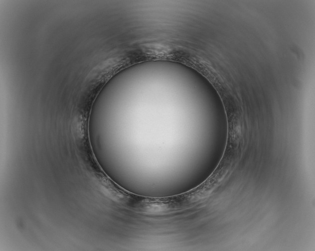 X0000111000658200906261500