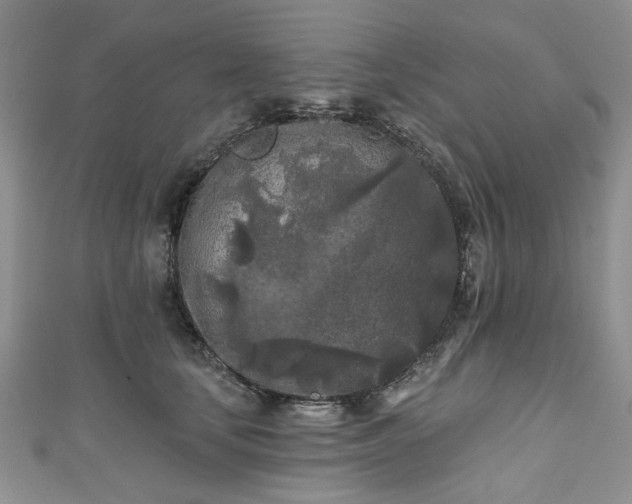 X0000111000659200906261500