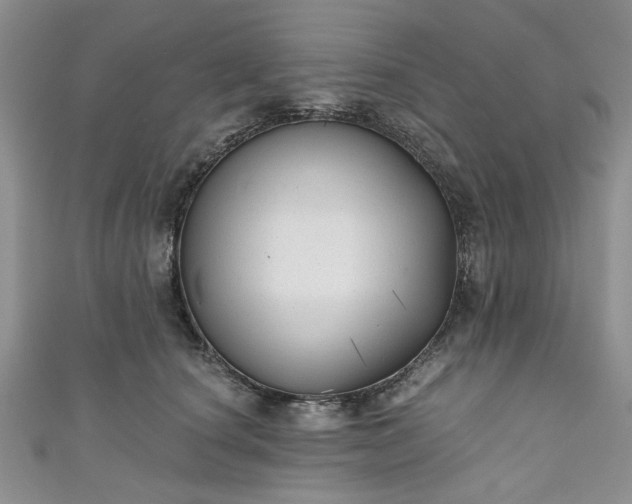 X0000111000660200906261500