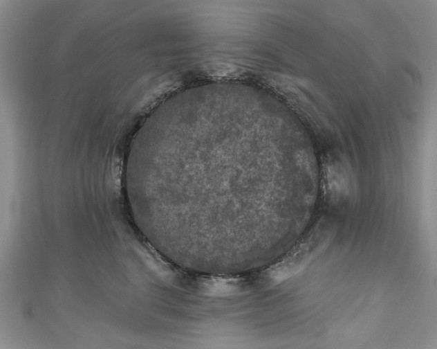 X0000111000664200906261500