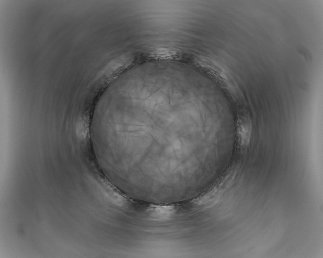 X0000111000665200906261500