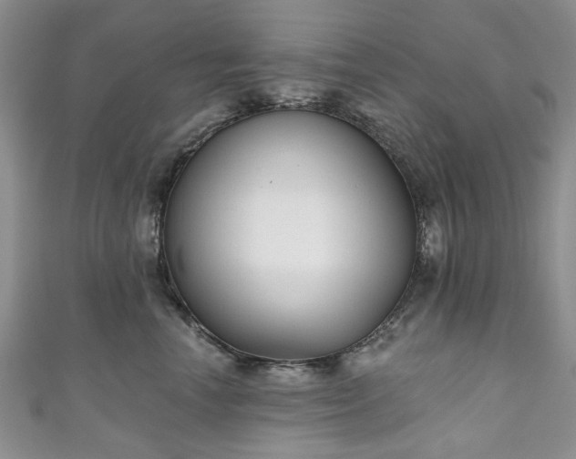 X0000111000666200906261500