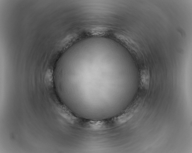 X0000111000667200906261500