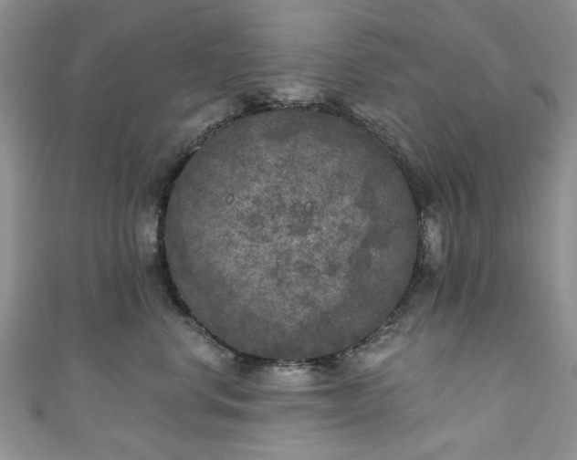 X0000111000668200906261500