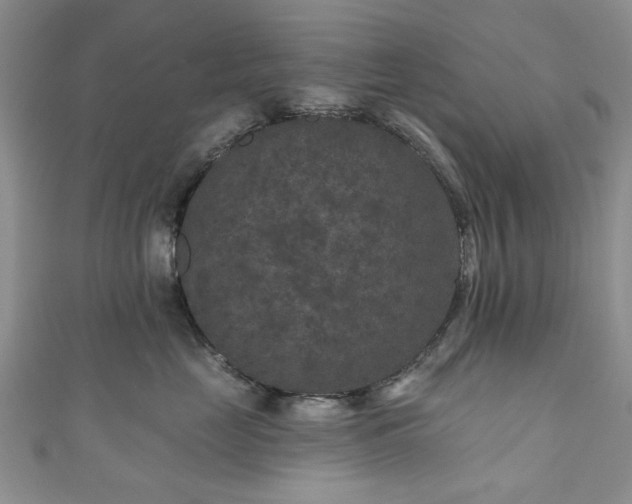 X0000111000669200906261500