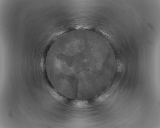 X0000111000670200906261500