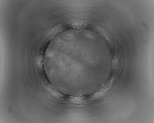 X0000111000671200906261500