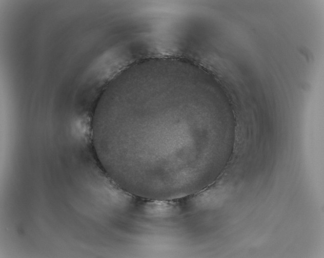 X0000111000672200906261500