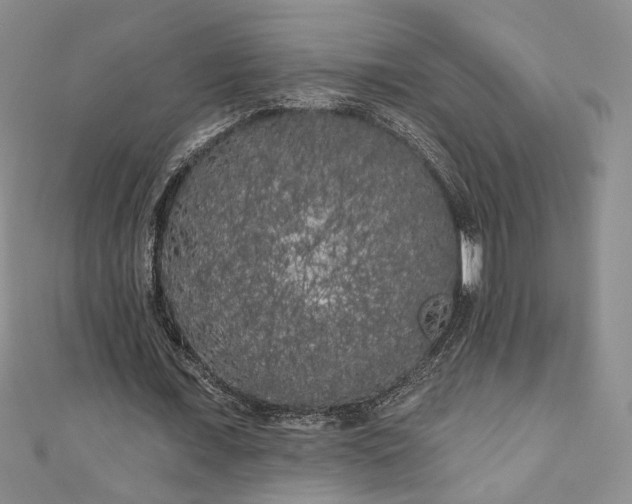 X0000111000675200906261459