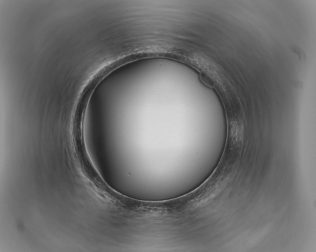 X0000111000676200906261459