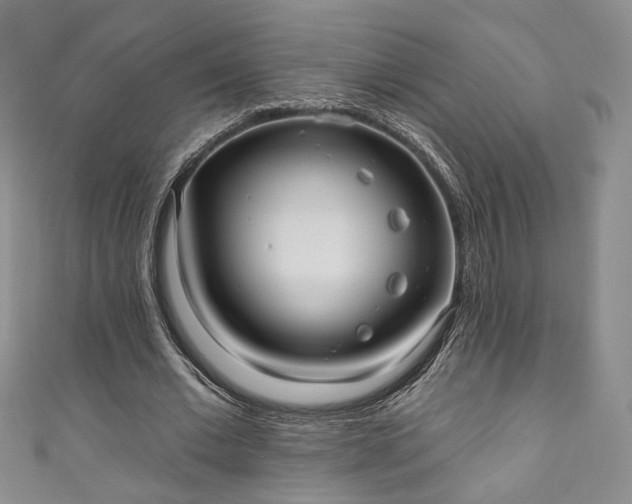 X0000111000677200906261459