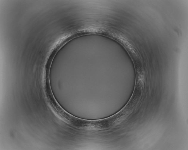 X0000111000678200906261459