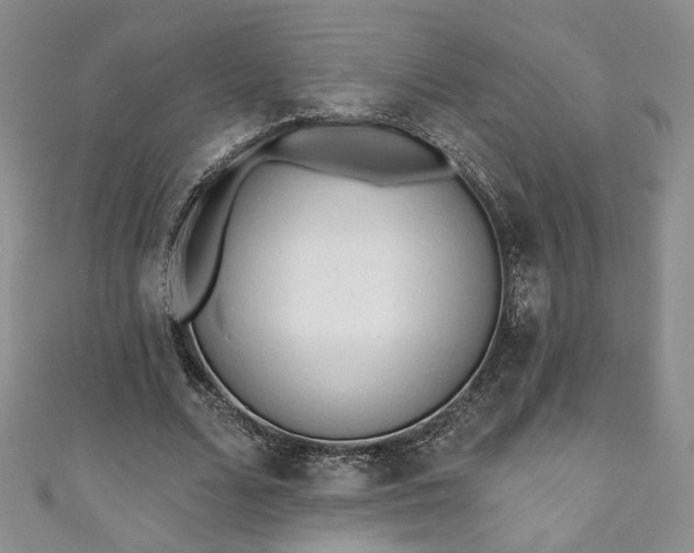 X0000111000680200906261459