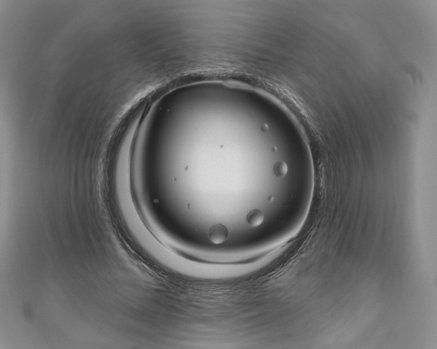 X0000111000684200906261459