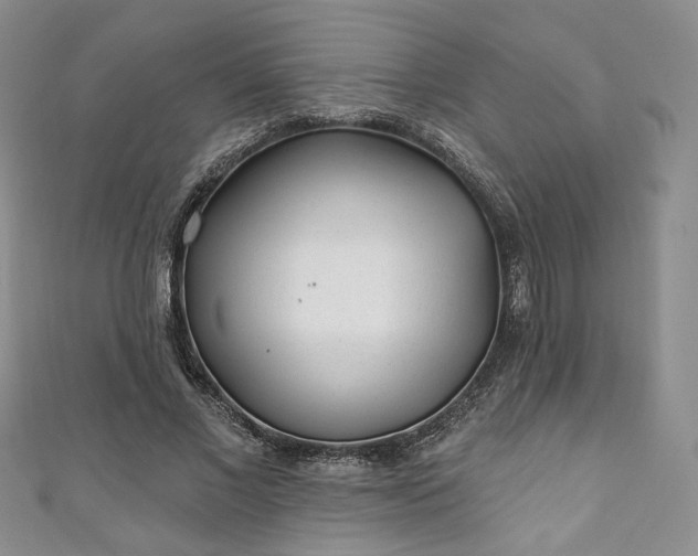 X0000111000685200906261459