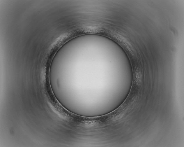 X0000111000686200906261459