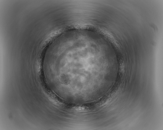 X0000111000687200906261459