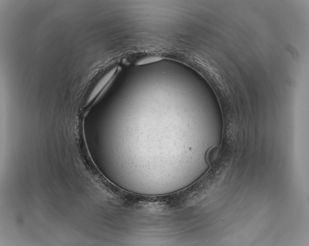 X0000111000689200906261459