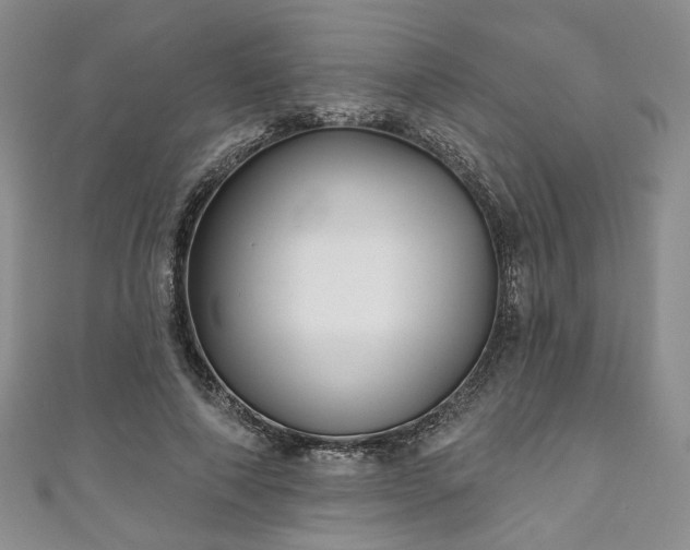 X0000111000690200906261459