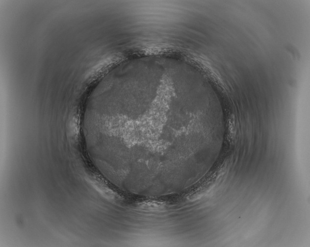 X0000111000691200906261459