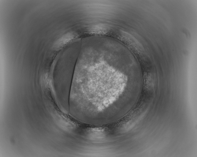 X0000111000692200906261459