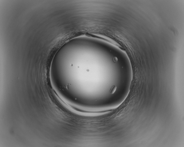 X0000111000693200906261459