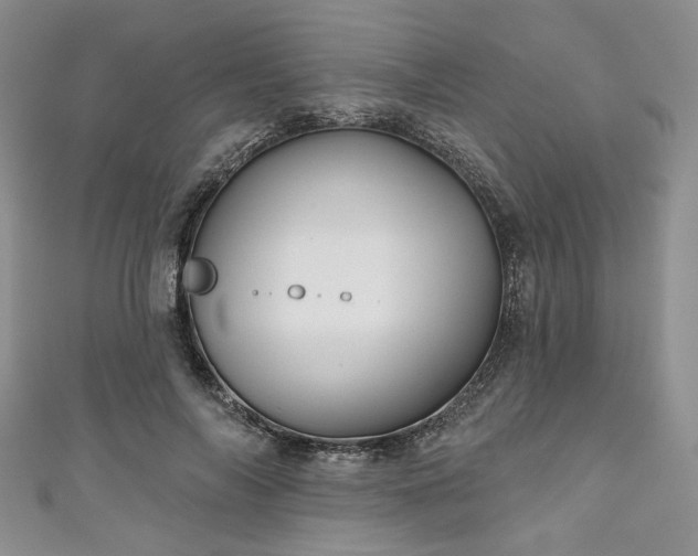 X0000111000694200906261459